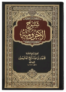 186ad820-486d-47e5-a747-b9a62f92b943 2